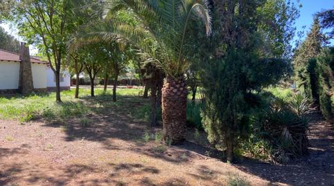 Foto 3 de Casa o xalet en venda a Carretera Carretera de Carrión, El Torreón - Los Ángeles - El Pilar, Ciudad Real