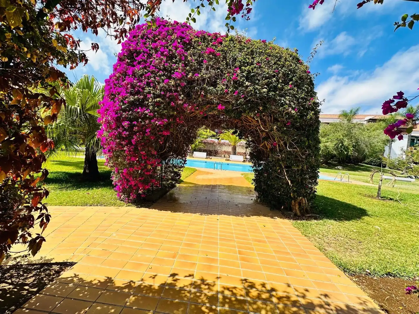 Piscina de Apartamento en venta en Puerto de la Cruz con Terraza y Piscina comunitaria