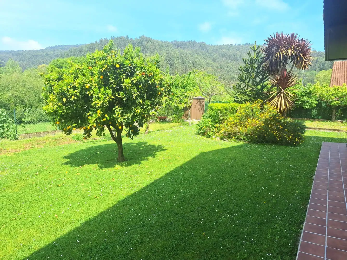 Villa con terrazza in vendita a Barrio Sámano, imagen 54