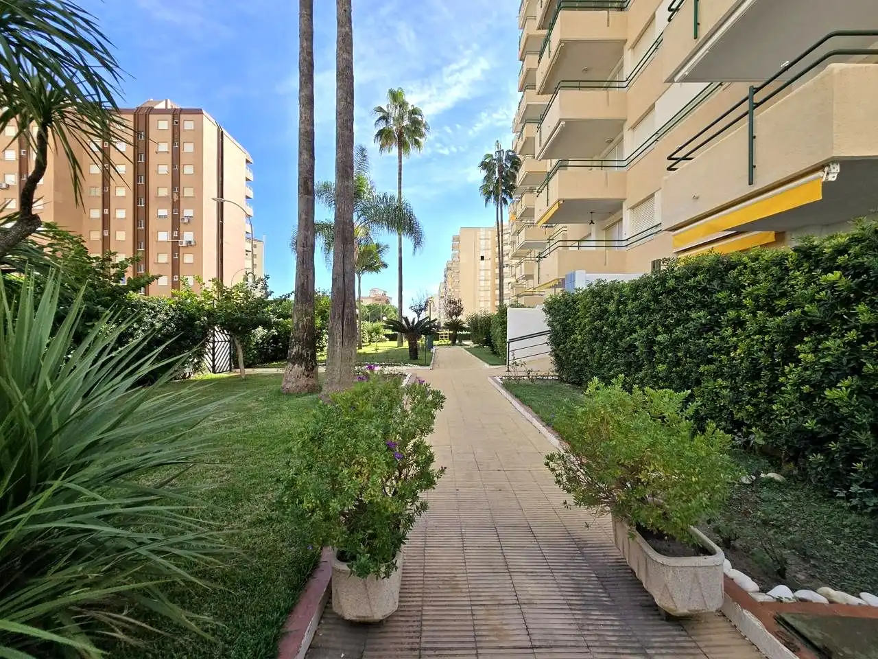 Apartment with pool for sale in calle de la Devesa 7, imagen 38