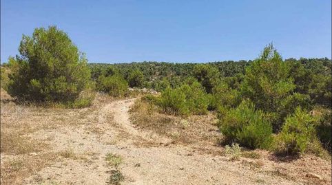 Solvia Inmobiliaria  Suelo Rústico Almansa, immagine 2