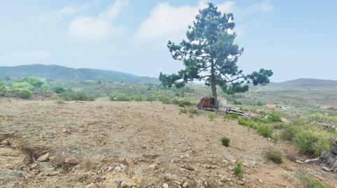 Foto 3 de Finca rústica en venda a Charco del Pino, Santa Cruz de Tenerife