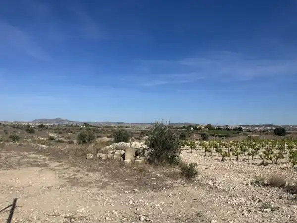 Rural land for sale in Novelda, imagen 5