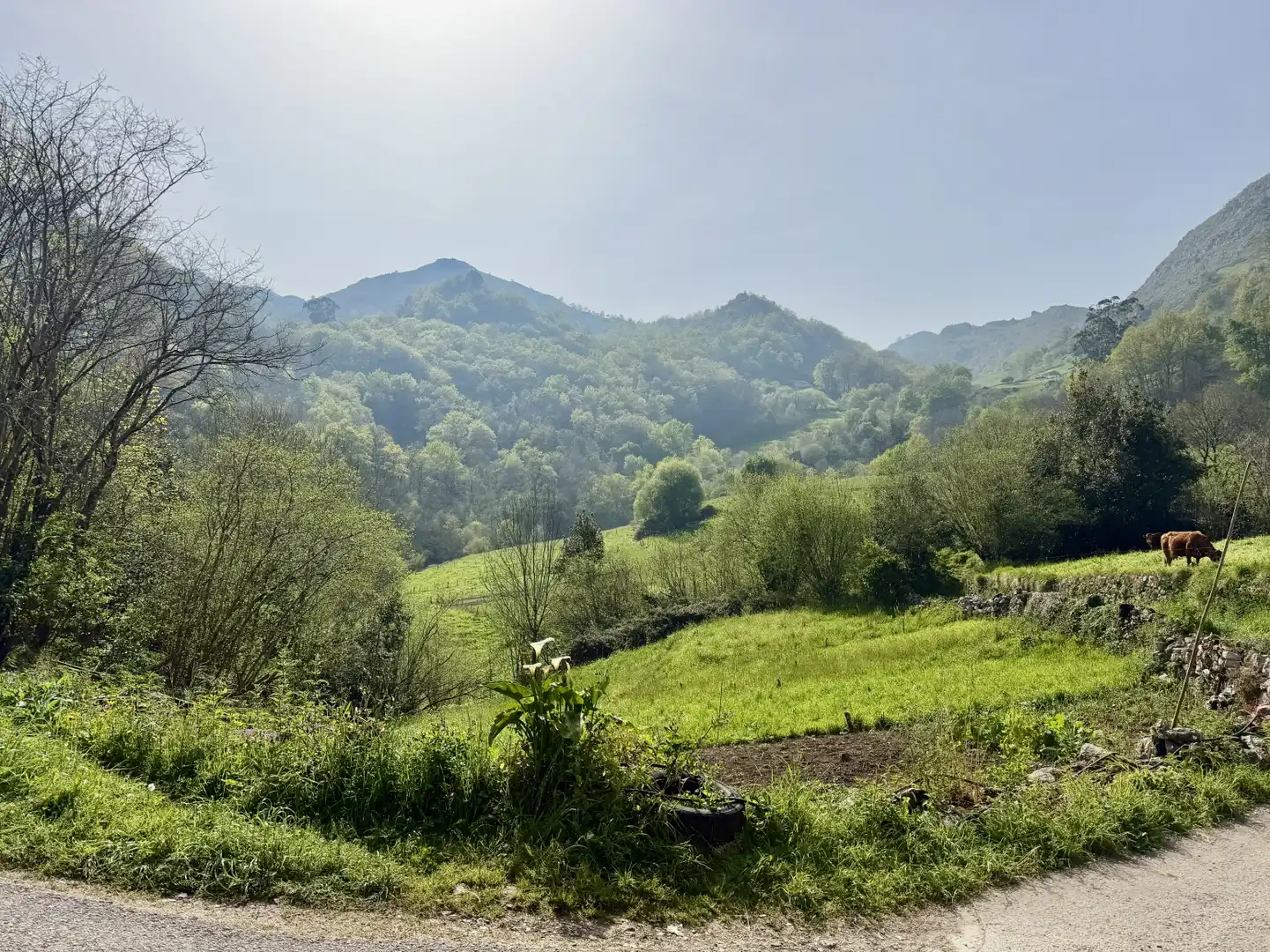 Detached homes for sale in Miera  with Heating