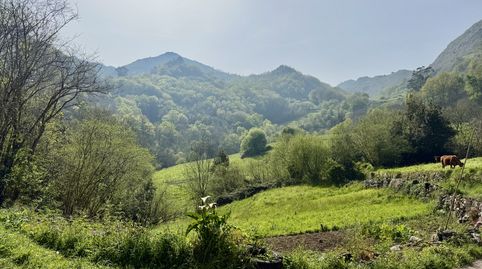 Photo 3 of Detached homes for sale in Cantolla la - Bo la Cantolla, 46, Miera, Cantabria