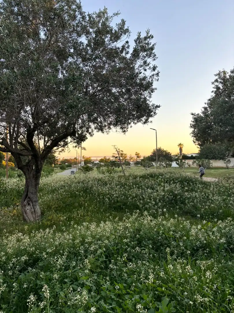 Vista exterior de Casa o chalet en venta en Rojales con Aire acondicionado, Calefacción y Jardín privado