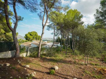 Terrain rustique à vendre à Centro ciudad