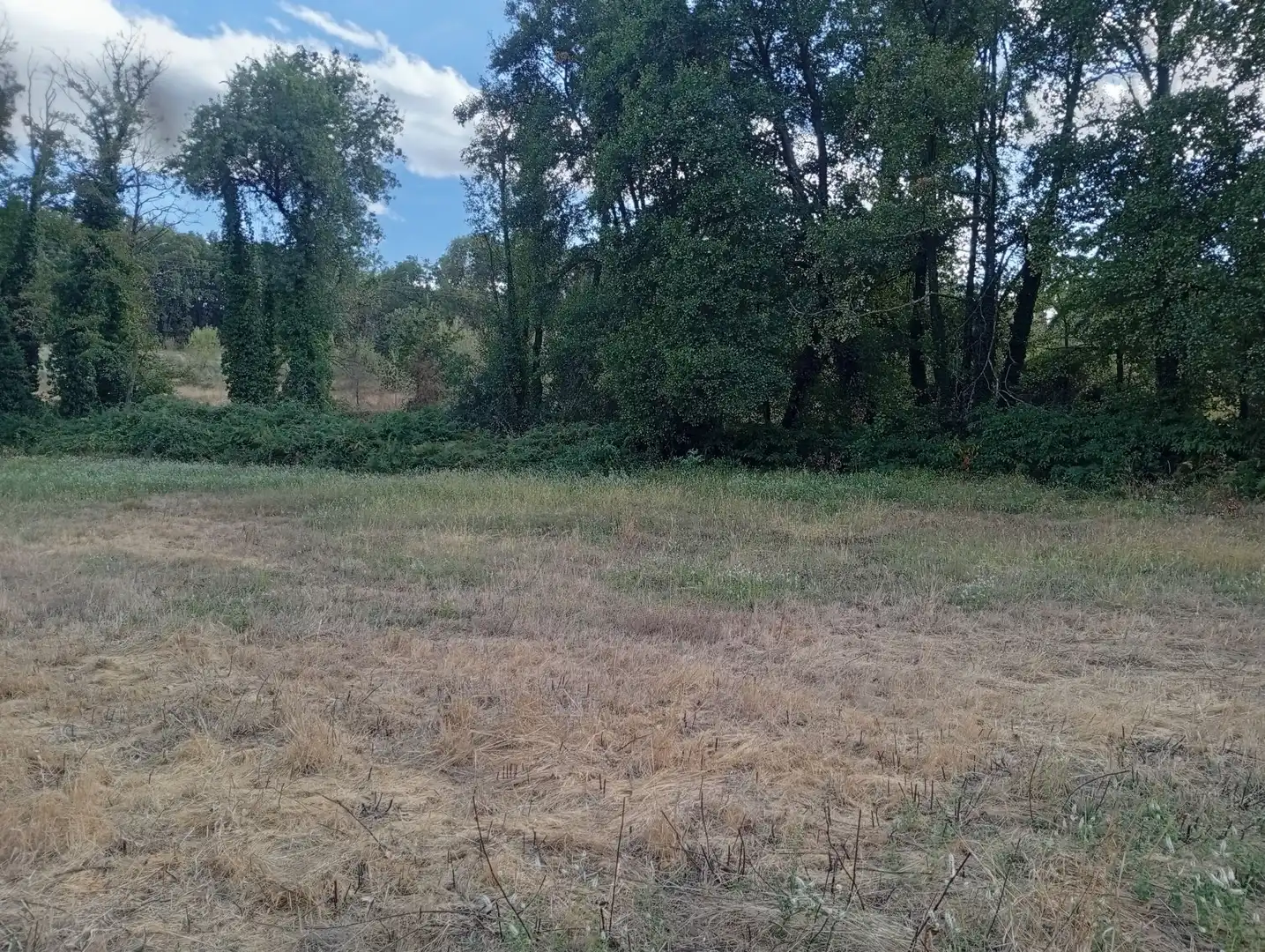 Terreni e lotti in vendita a Villanueva de la Vera, imagen 86