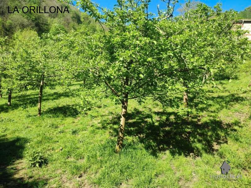 Country house for sale in San Martín del Rey Aurelio