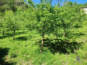 Rural land for sale in San Martín del Rey Aurelio