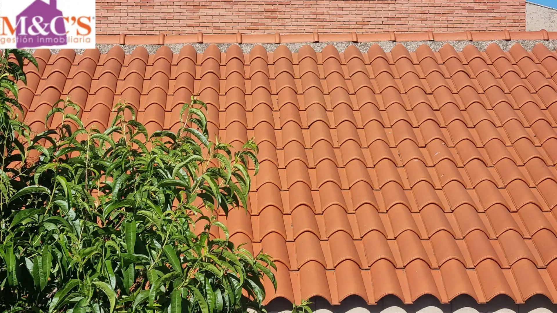 Maison à vendre à Carretera de Córdoba - Libertad, imagen 7