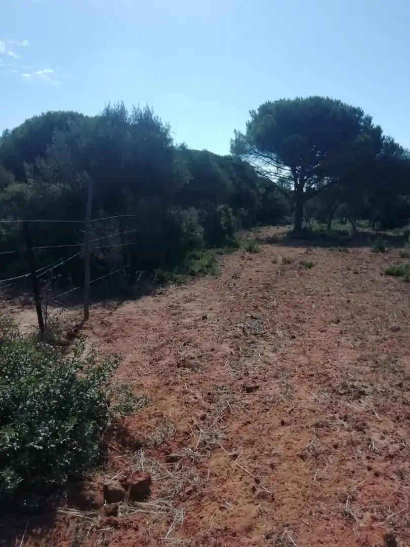 Terreno residencial en venta en Vejer, imagen 2