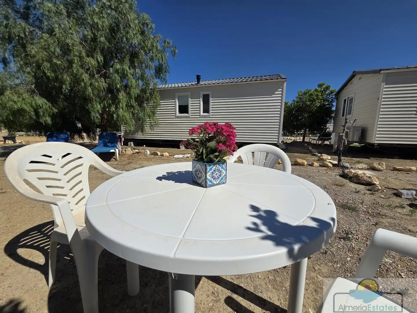 Terrace of Houses for rent in Albox  with Terrace and Swimming Pool