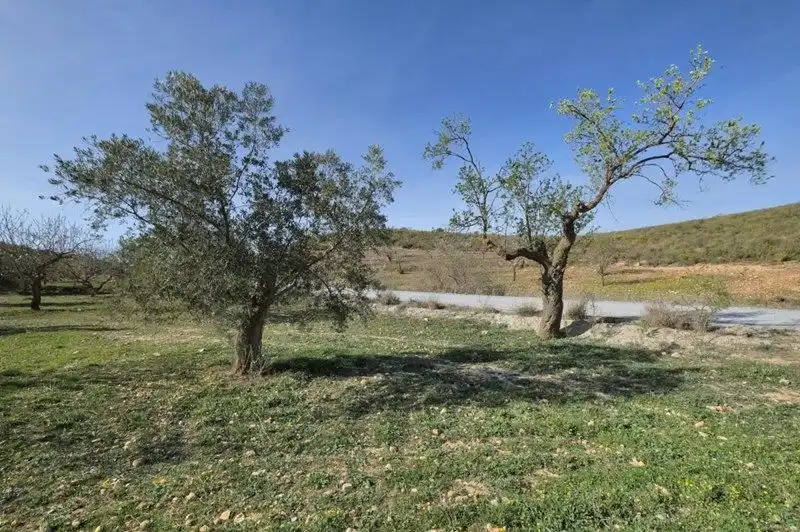 Terreni e lotti in vendita a Travesia Jose Mariano Vallejo, imagen 16