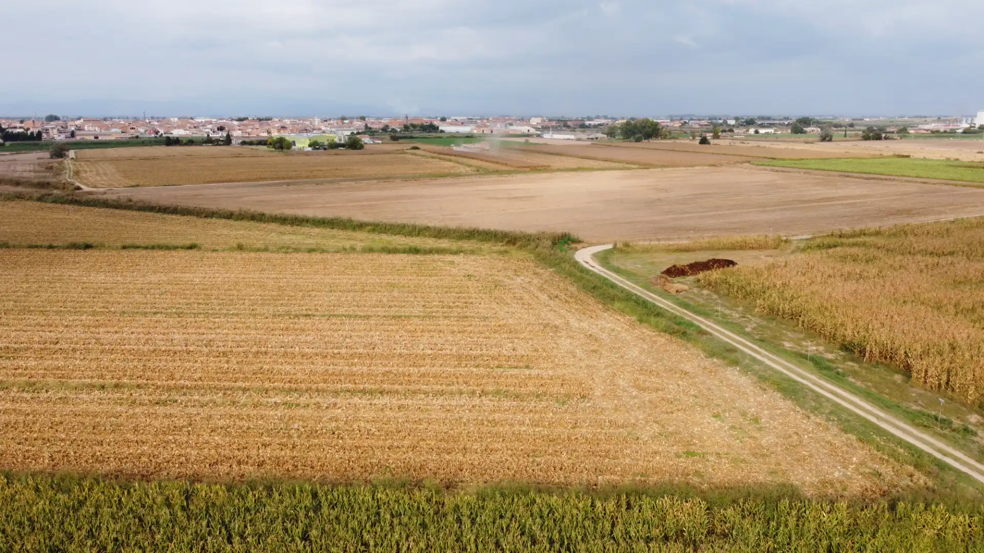 Terreny rústic en venda a Bell-lloc d'Urgell, imagen 7