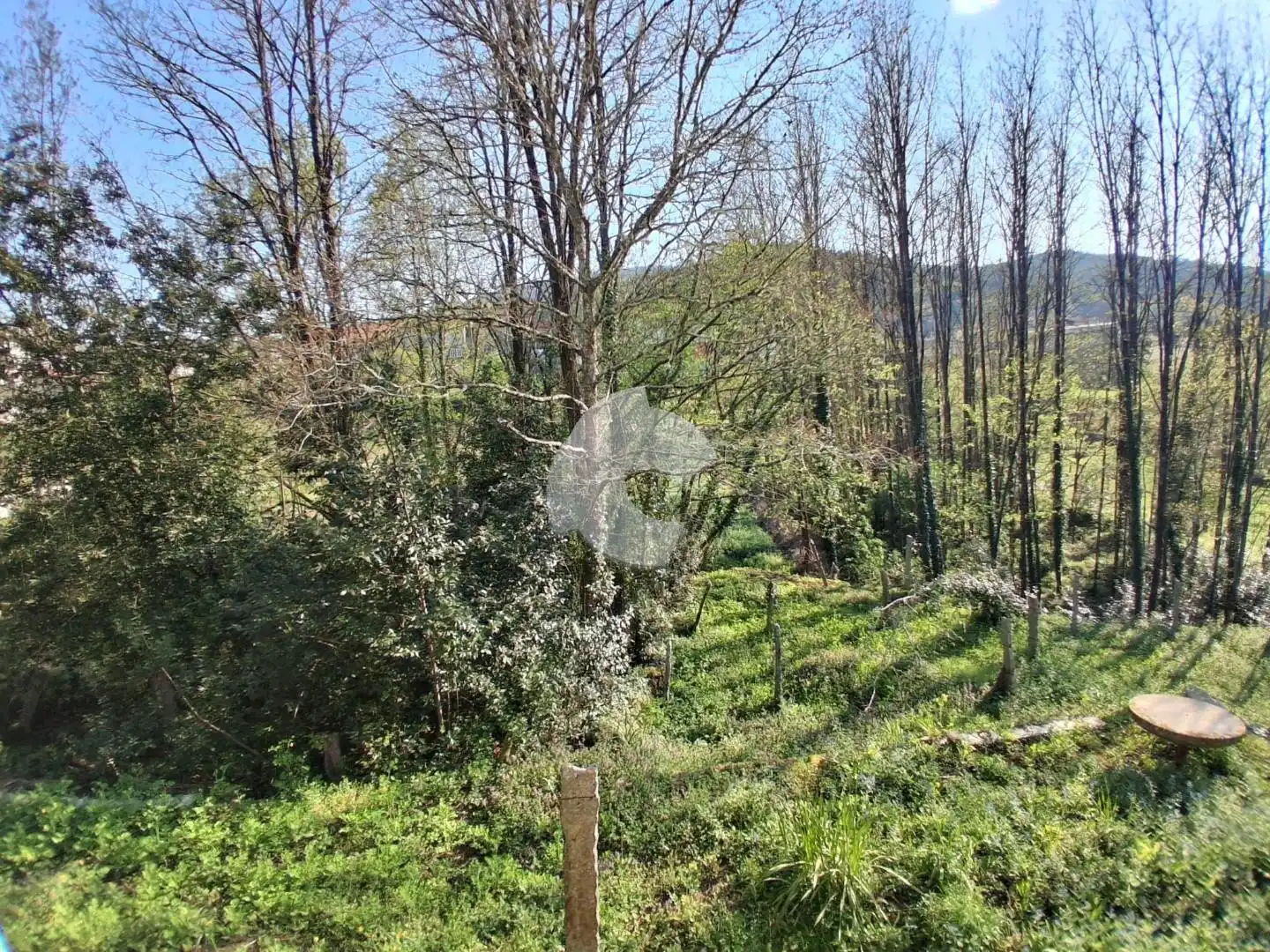Casa o xalet en venda en Mondariz-Balneario amb Jardí privat