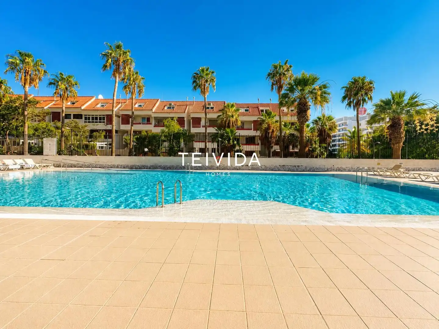 Swimming pool of Flat for rent in Arona  with Swimming Pool, Furnished and Community pool