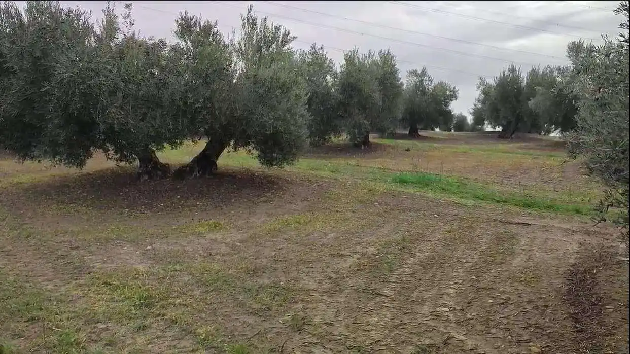 Rustikales Grundstück zum Verkauf in Cañete de las Torres