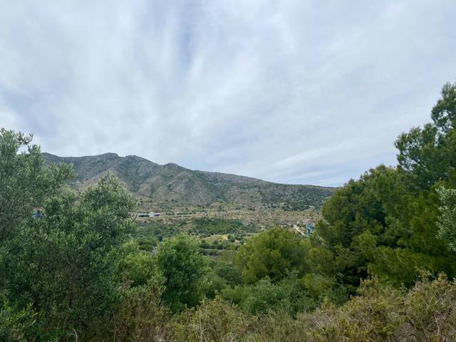 Terreno residencial en Venta en Cortijo de Maza - Finca Monsalvez - El Olivar