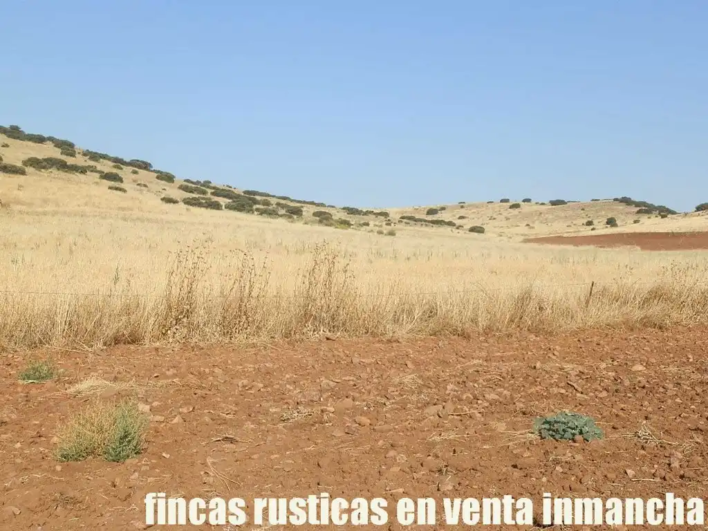 Terrenys i solars en venda a Almagro, imagen 7