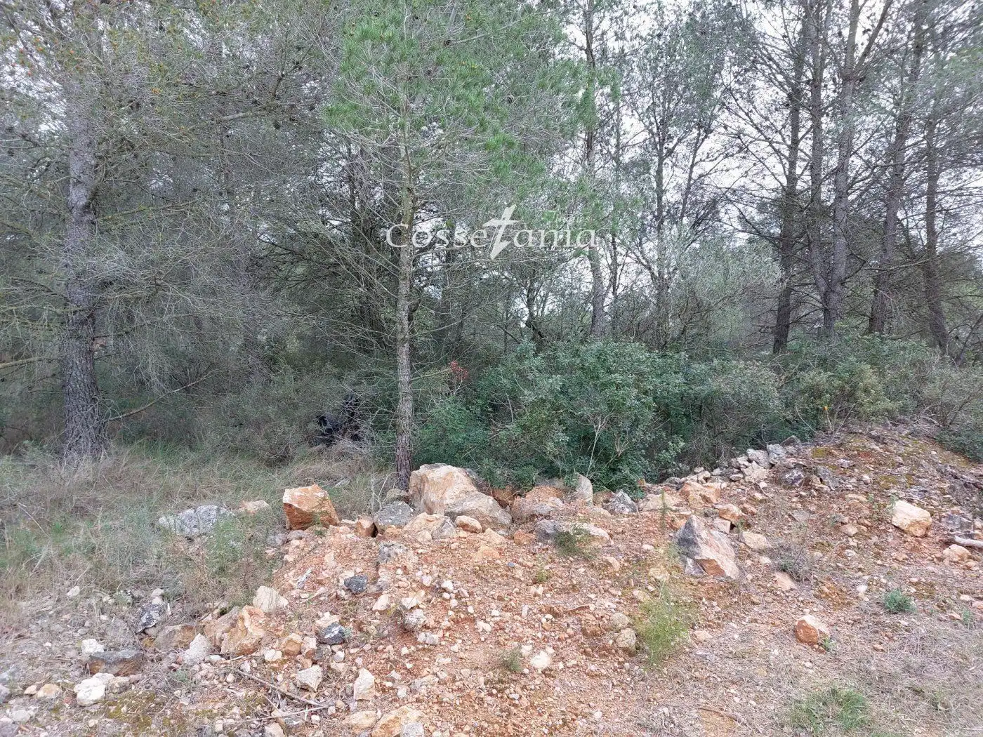 Rural land for sale in avet de l'  en  la masieta, imagen 4