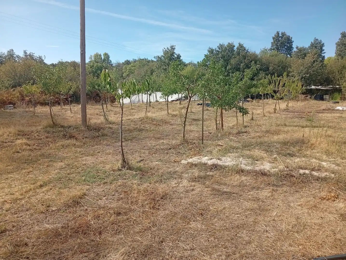 Terrain rustique à vendre à Villanueva de la Vera, imagen 40