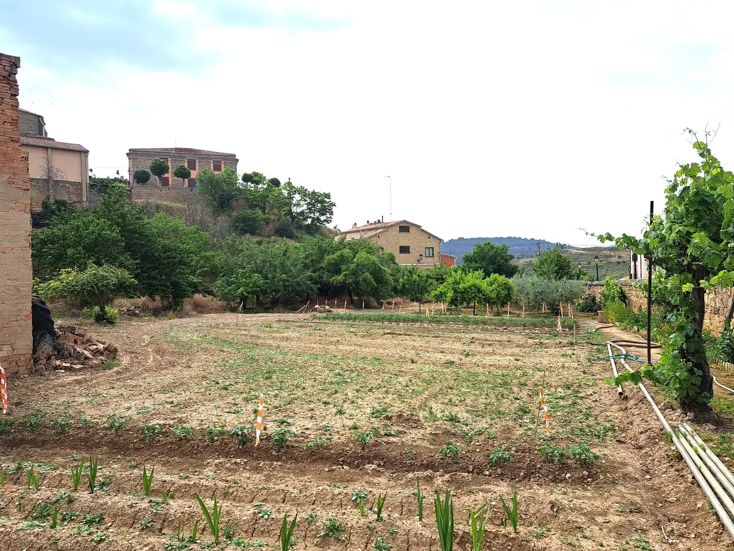Finca rústica en venta en Briones con Jardín privado