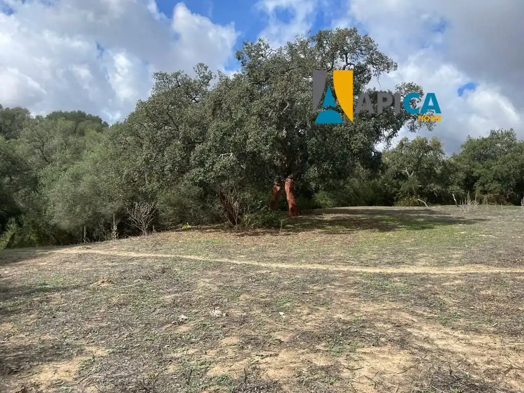 Terreni e lotti in vendita a Vejer, imagen 20
