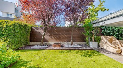 Foto 3 de Planta baja de alquiler en Aravaca, Madrid Capital
