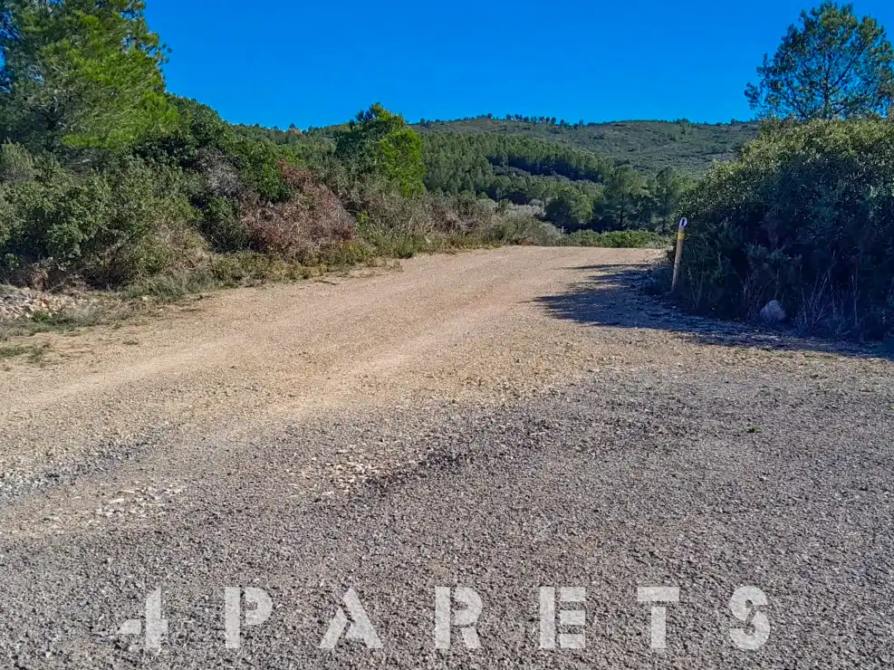 Rural land for sale in Cervera del Maestre, imagen 8