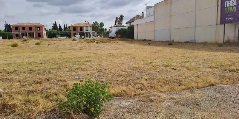 Terreny rústic en venda a Avenida CARLOS III, imagen 4