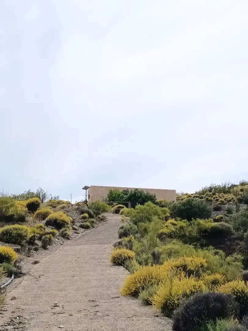 Terreno rustico in vendita a Alboloduy, imagen 14