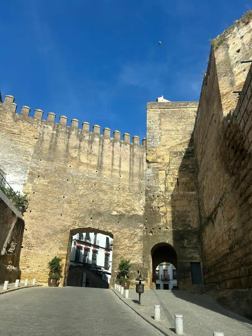 Planta baixa en venda a Carmona