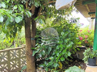 Jardí de Finca rústica en venda en El Rosario amb Terrassa