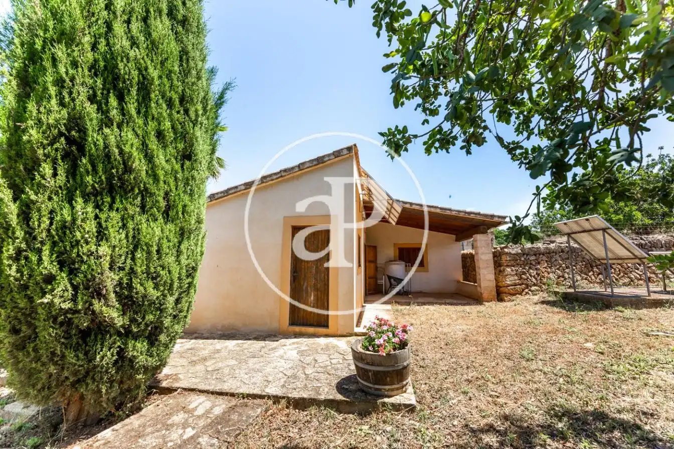 Jardí de Casa o xalet en venda en Manacor amb Calefacció, Jardí privat i Terrassa