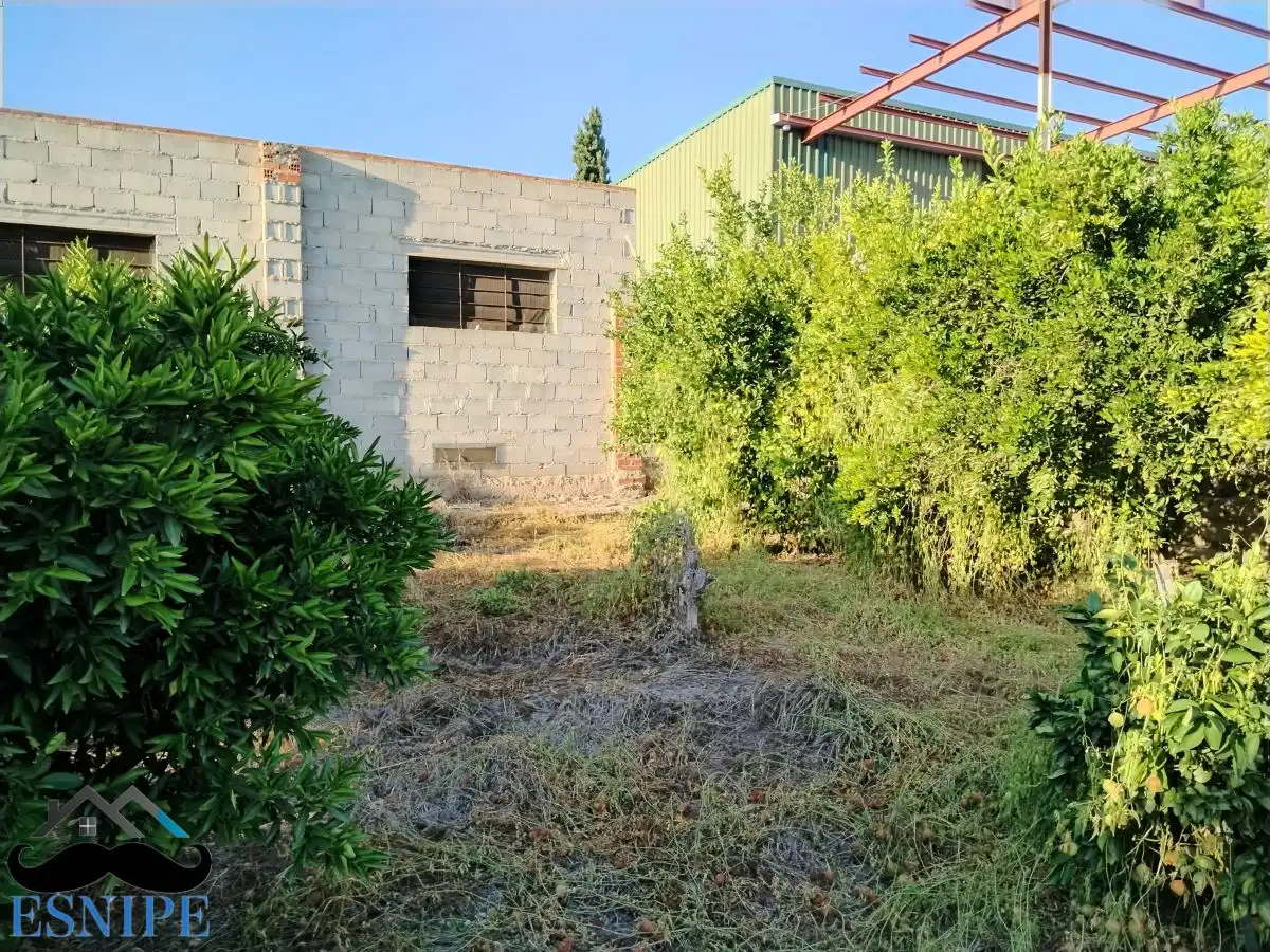 Country homes for sale in Archena