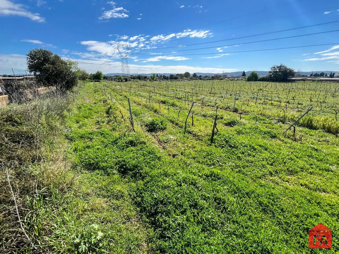 Terreno rústico en venta en Santa Oliva, imagen 4