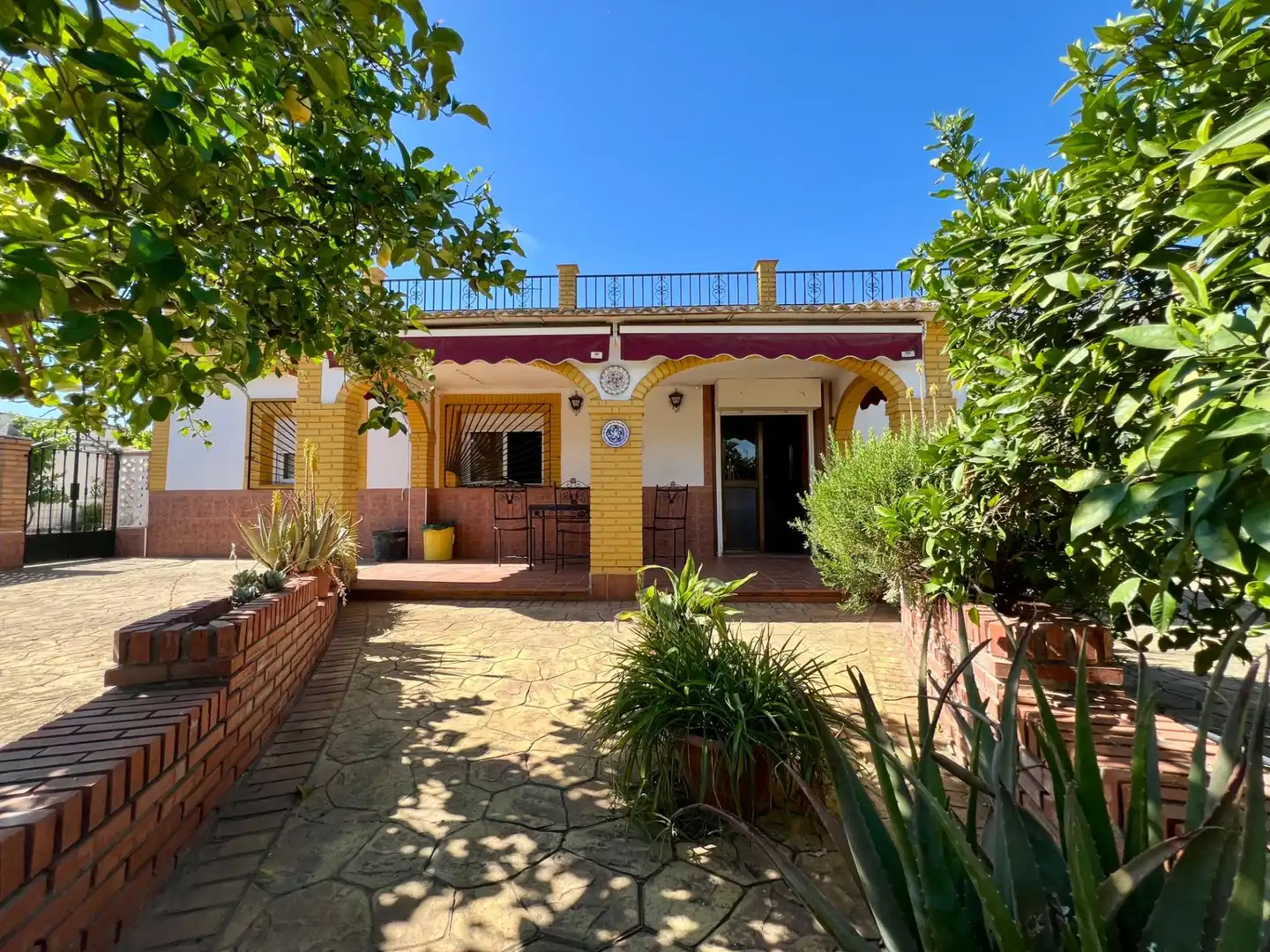 Houses for sale in Alcolea