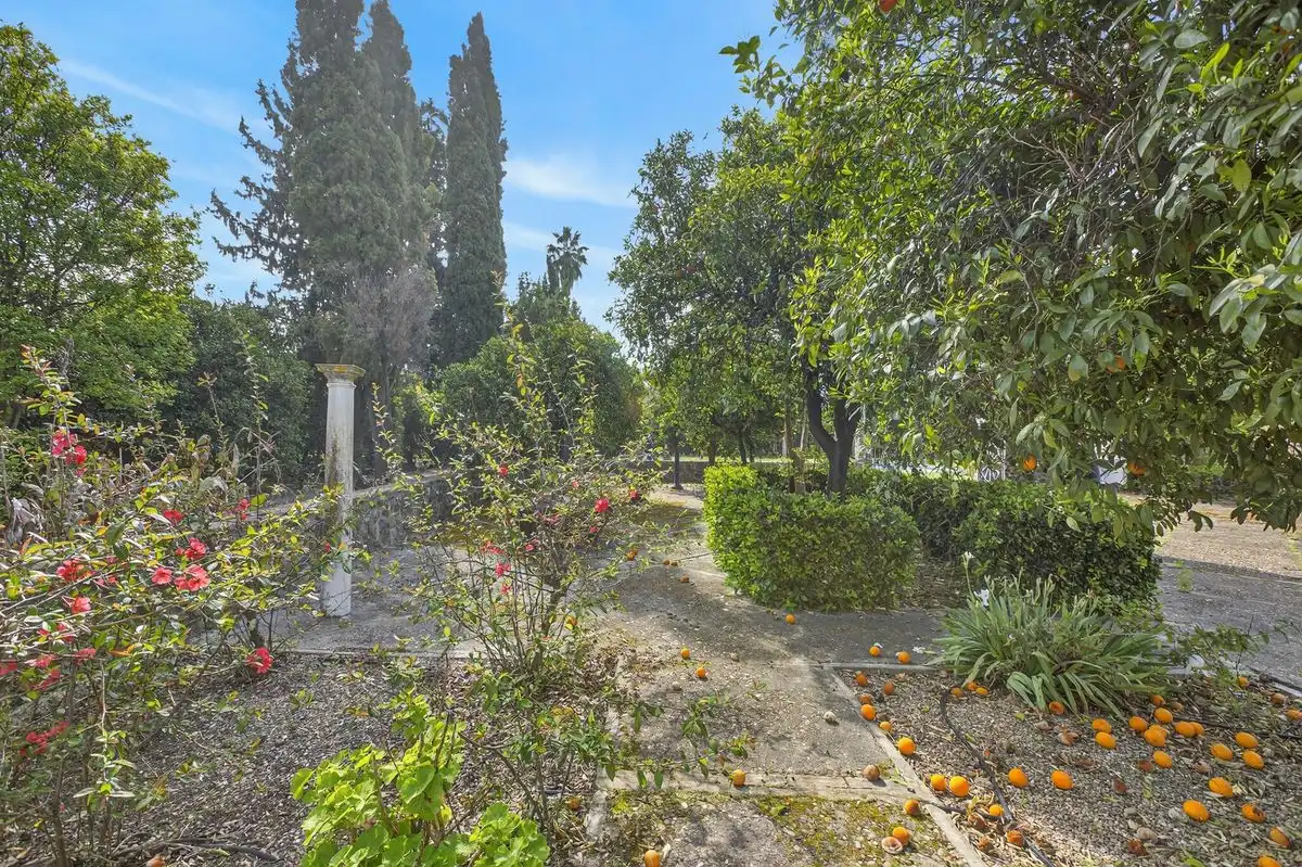 Finca rústica en venta en C. Pablo Picasso, Lora del Río