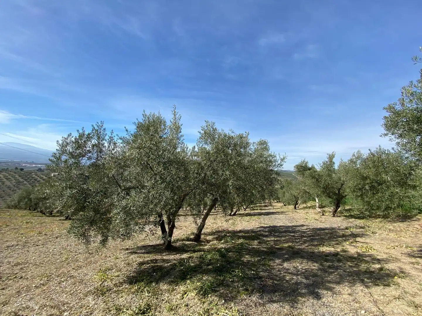 Terreno en venta en Villanueva Mesía