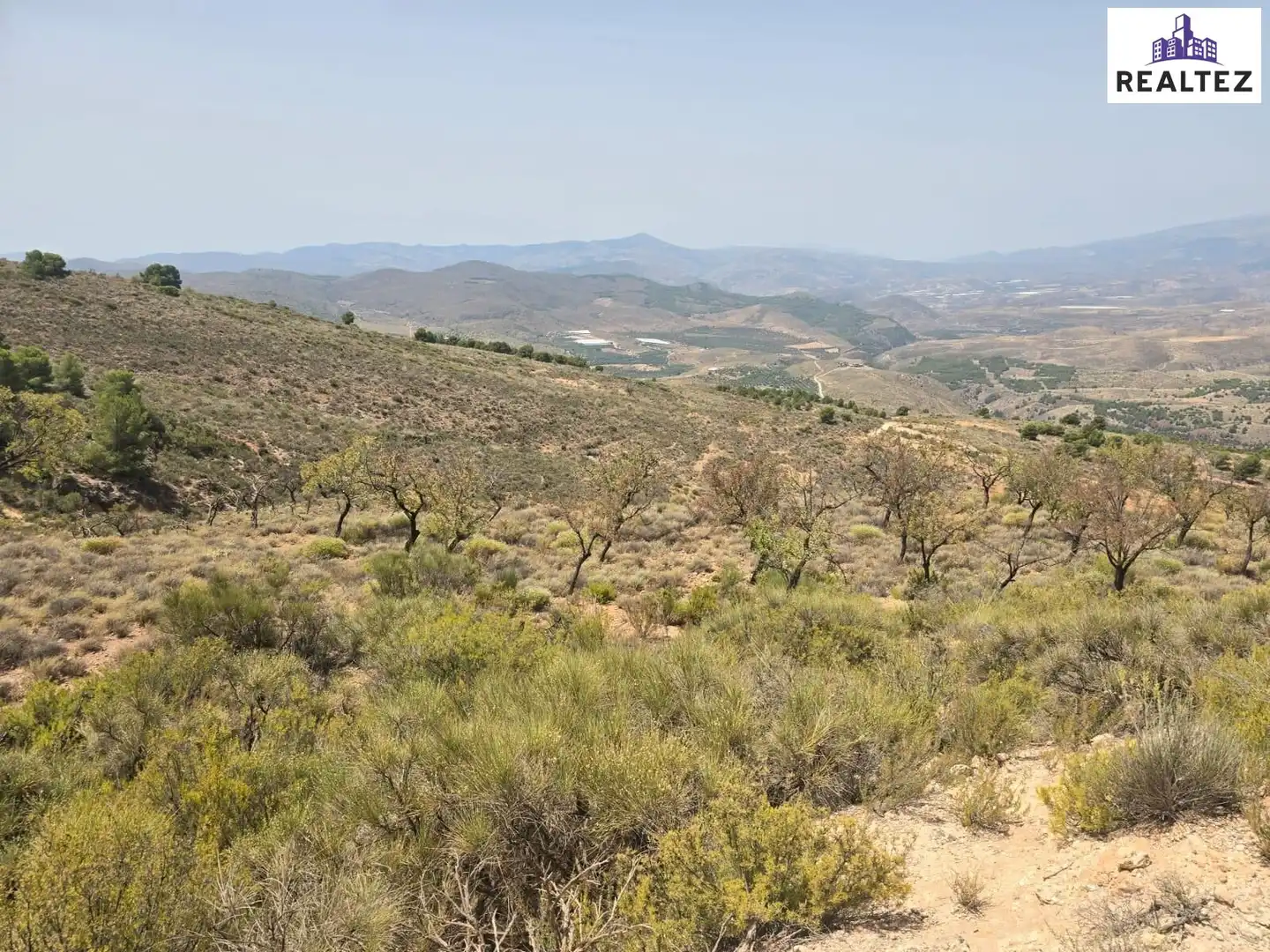 Terrain rustique à vendre à Alcolea, imagen 11