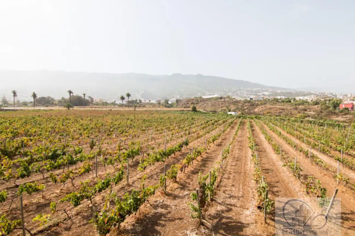 Vista exterior de Finca rústica en venda en Santa Úrsula amb Terrassa i Balcó