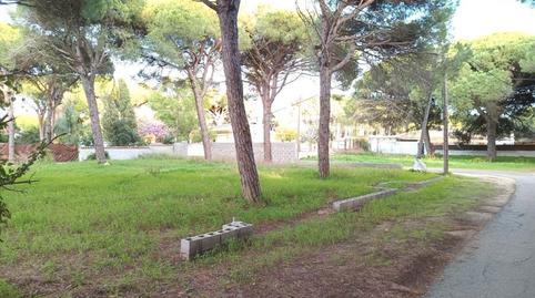 Foto 2 de Terreno en venta en Camino del Granado, 23, Las Lagunas - Campano, Cádiz
