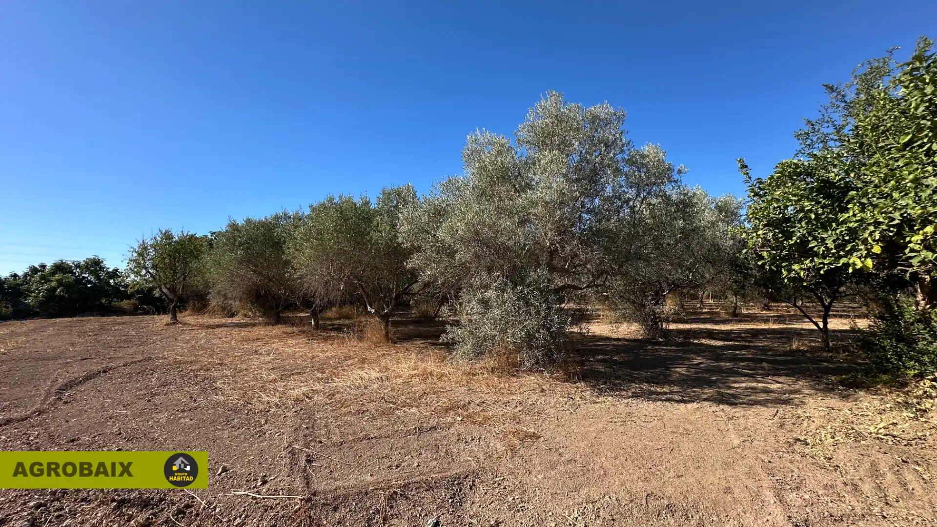 Rural land for sale in BV-2002 114, imagen 30