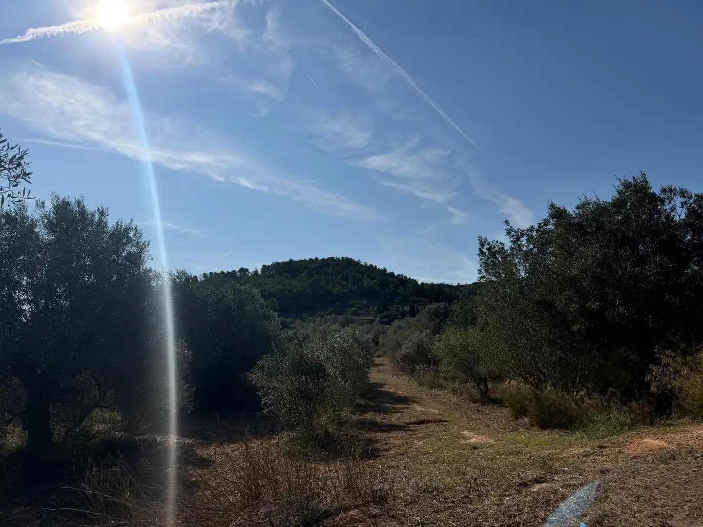 Residencial en venta en El Pinell de Brai