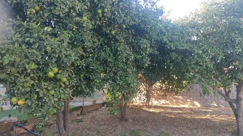 Photo 5 of House or chalet for sale in La Coquina, Cádiz