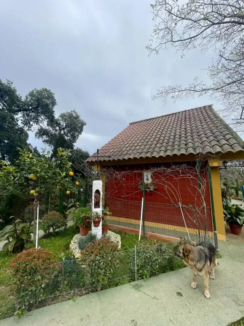 Vista exterior de Finca rústica en venda en Berrocal amb Jardí privat, Traster i Piscina