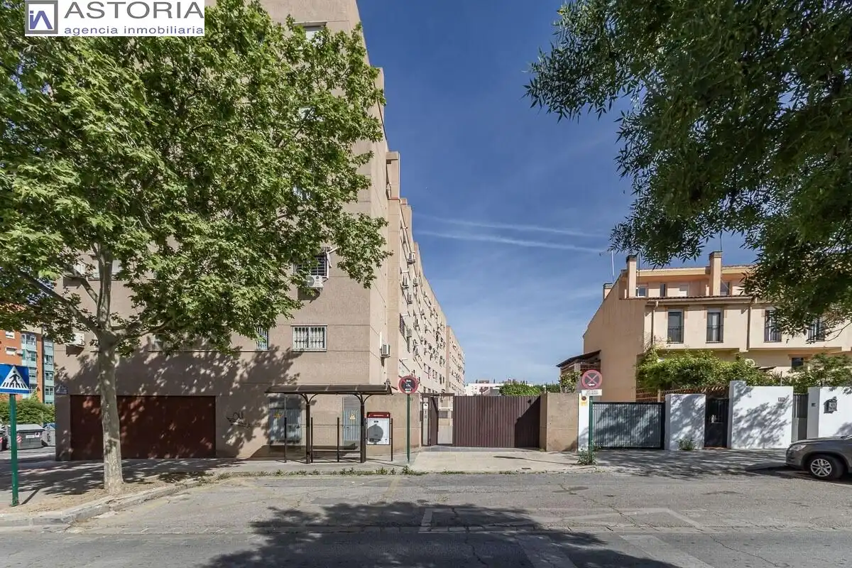 Piso con ascensor en venta en Calle Gobernador Pedro Temboury, imagen 28