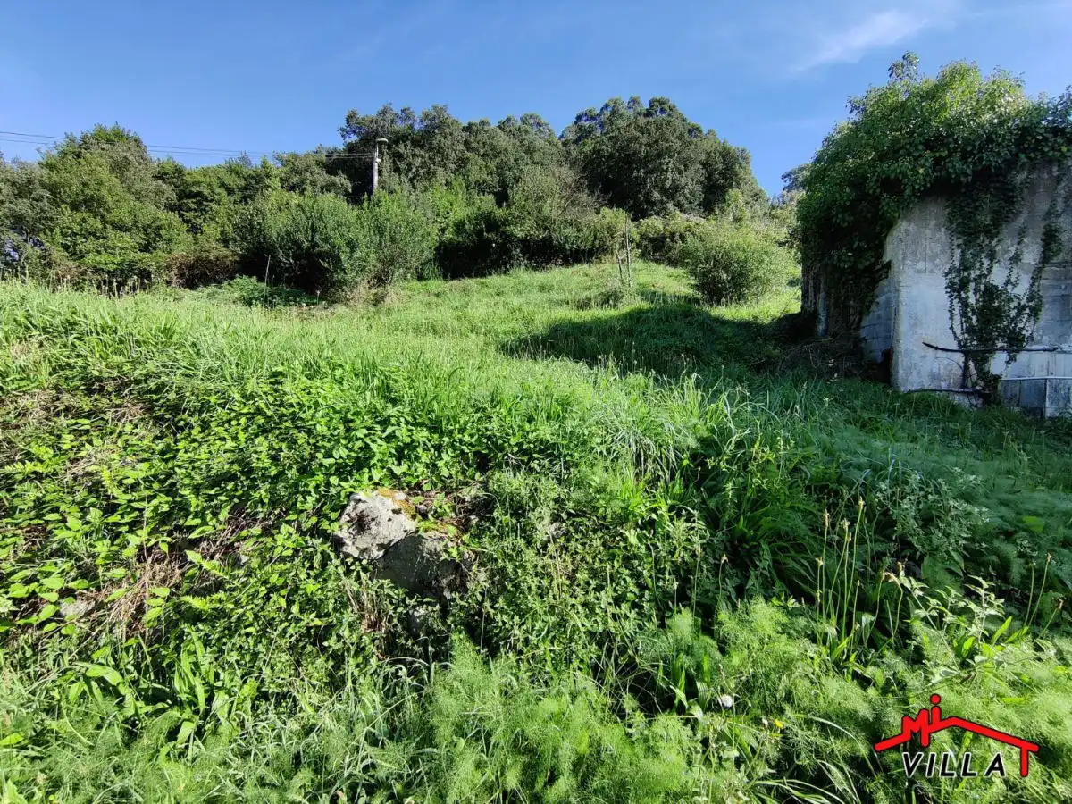 Houses for sale in Laredo