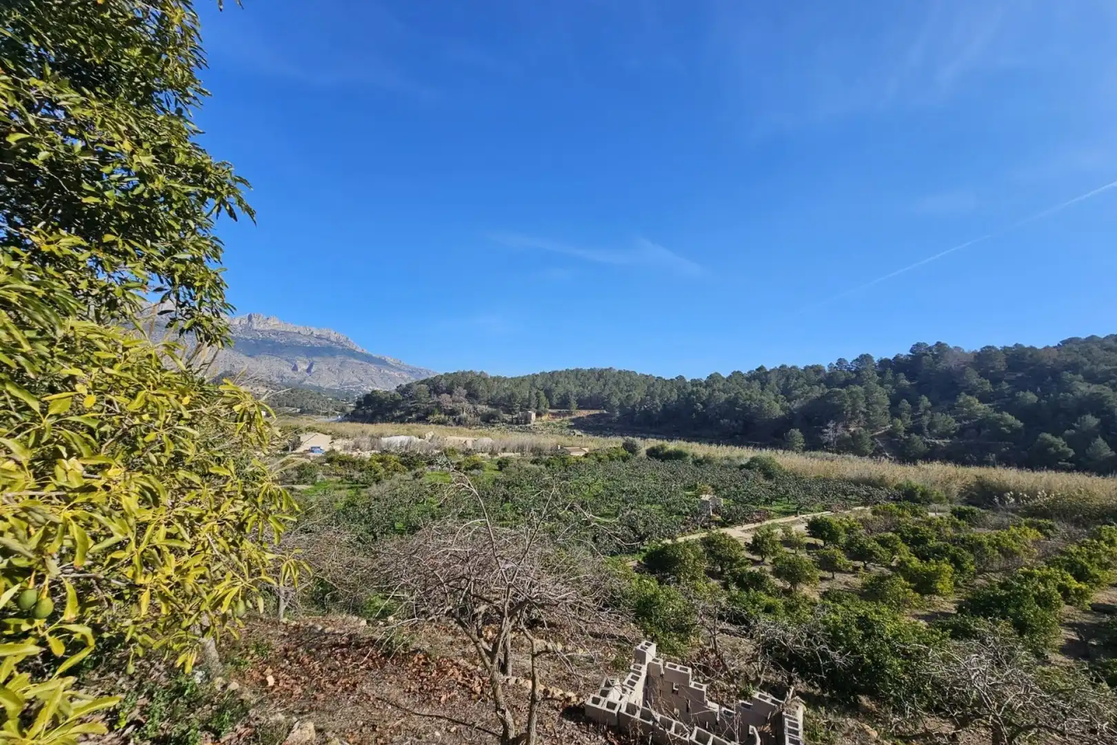 Casa en venda a Callosa d'en Sarrià, imagen 19